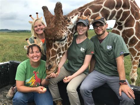 paid volunteer work with animals.